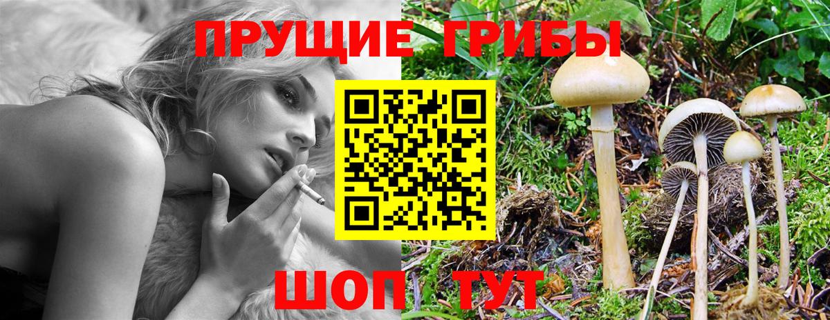ГАШИШ Иваново