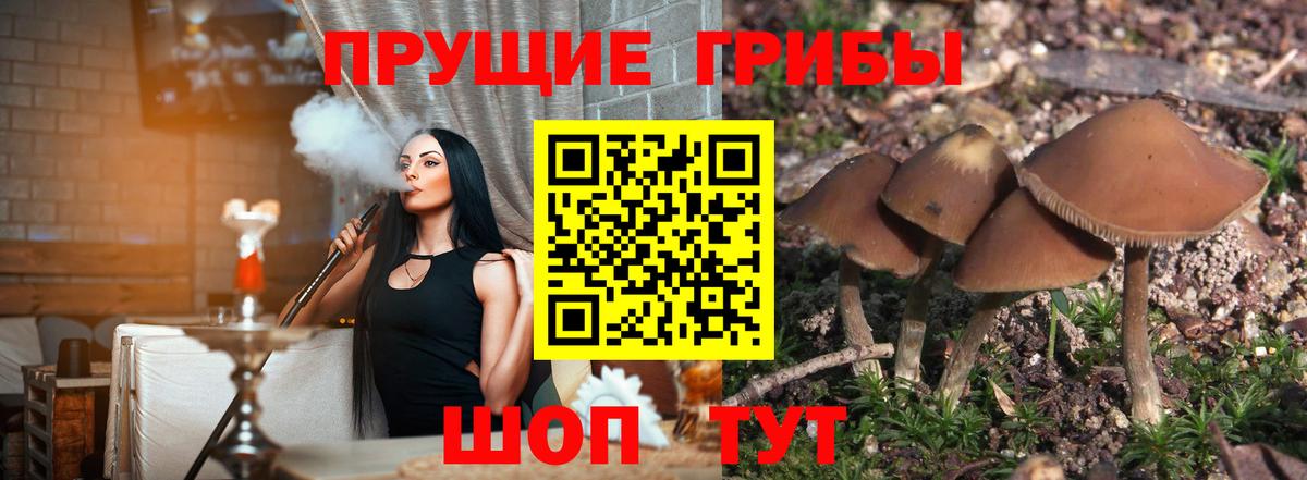 Псилоцибиновые грибы GOLDEN TEACHER Иваново
