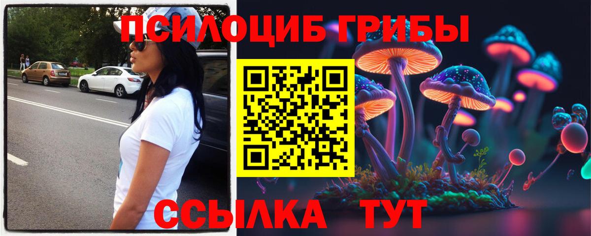 Галлюциногенные грибы Psilocybe  Вход с VPN  Иваново 