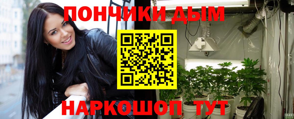 Каннабис конопля  Вход с VPN  Бошки Шишки гибрид  Конопля SATIVA & INDICA  Иваново 